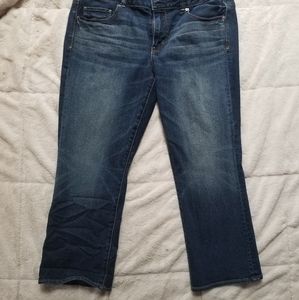 American Eagle Artist Crop Size 16
